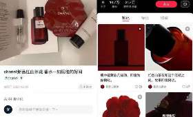 揭秘视频号赚钱新模式，从零开始打造高收益自媒体平台